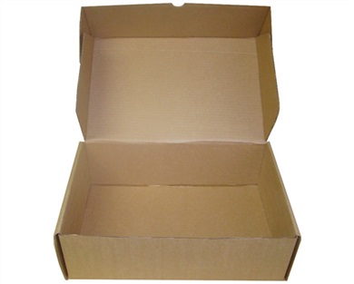CAIXA ENVIO (TRANSPORTE) GRANDE PARDA (17X27X8CM)