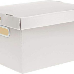 CAIXA ORGANIZADORA PRONTOBOX BRANC 440X320X260 GD UNIDADE 7012-BR - POLYCART