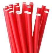 CANUDO PAPEL 19,7CM 25UNI COLOR 182035